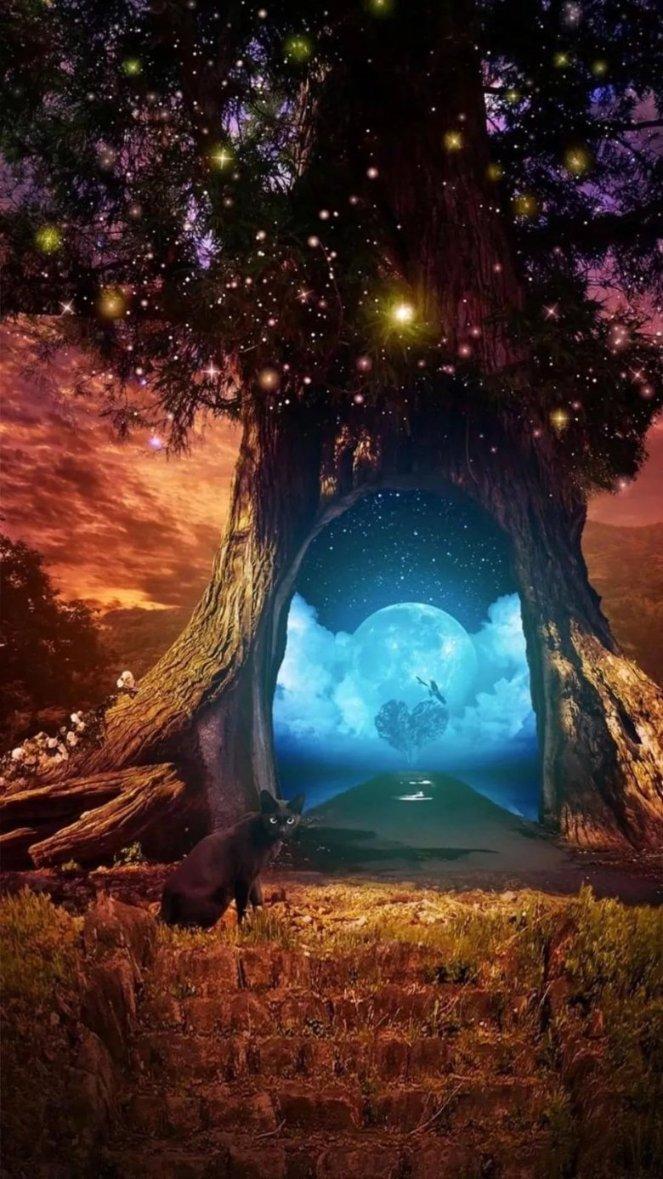 探索英语单词老是记不住怎么办?,加入知识星球平台!